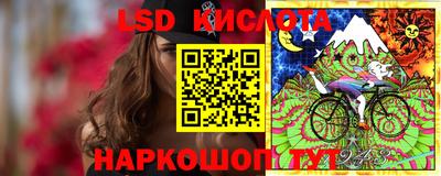 прущие грибы Можга