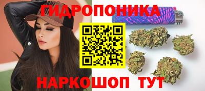 прущие грибы Можга