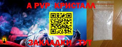 прущие грибы Можга