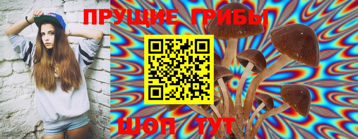 Псилоцибиновые грибы MAGIC MUSHROOMS Чайковский
